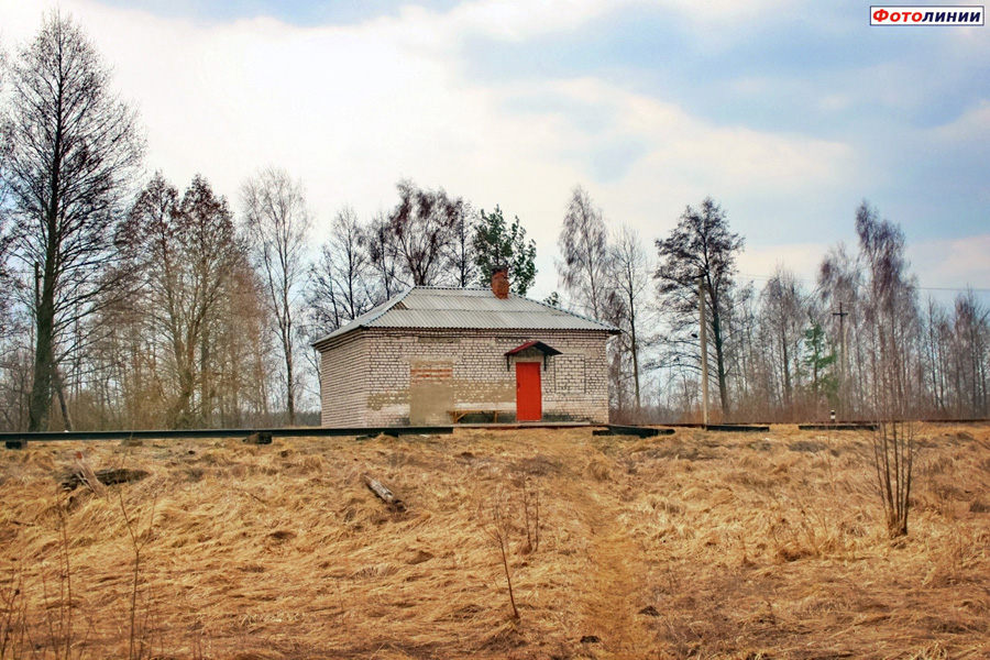 The abandoned railroad line through the Chornobyl zone.