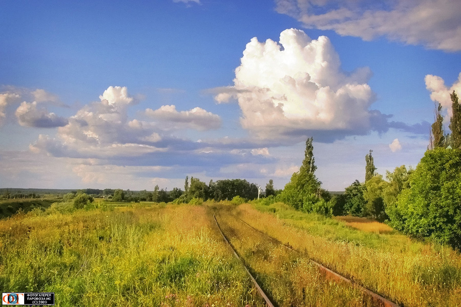 The abandoned railroad line through the Chornobyl zone.