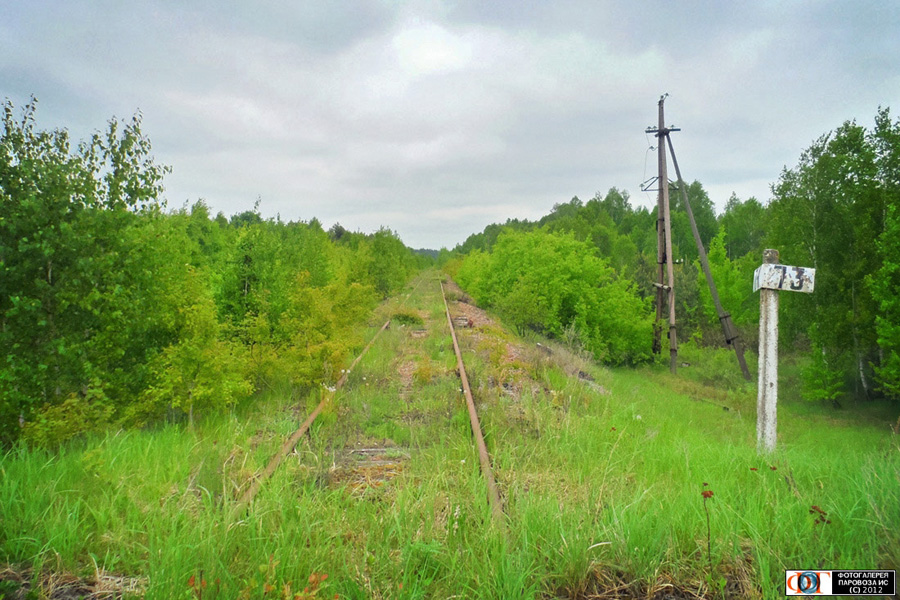 The abandoned railroad line through the Chornobyl zone.