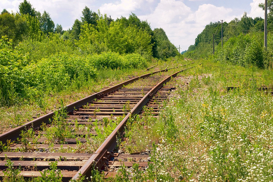 The abandoned railroad line through the Chornobyl zone.