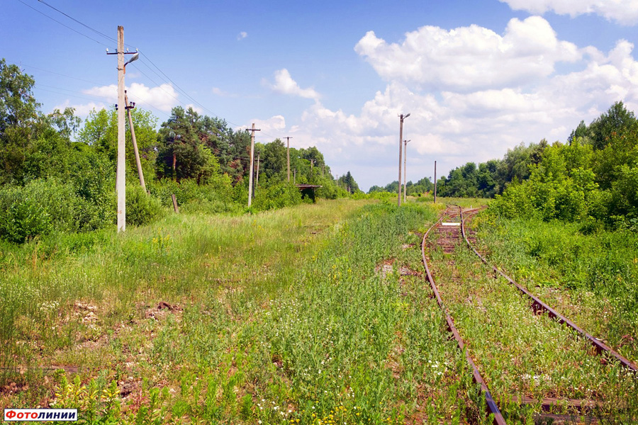 The abandoned railroad line through the Chornobyl zone.